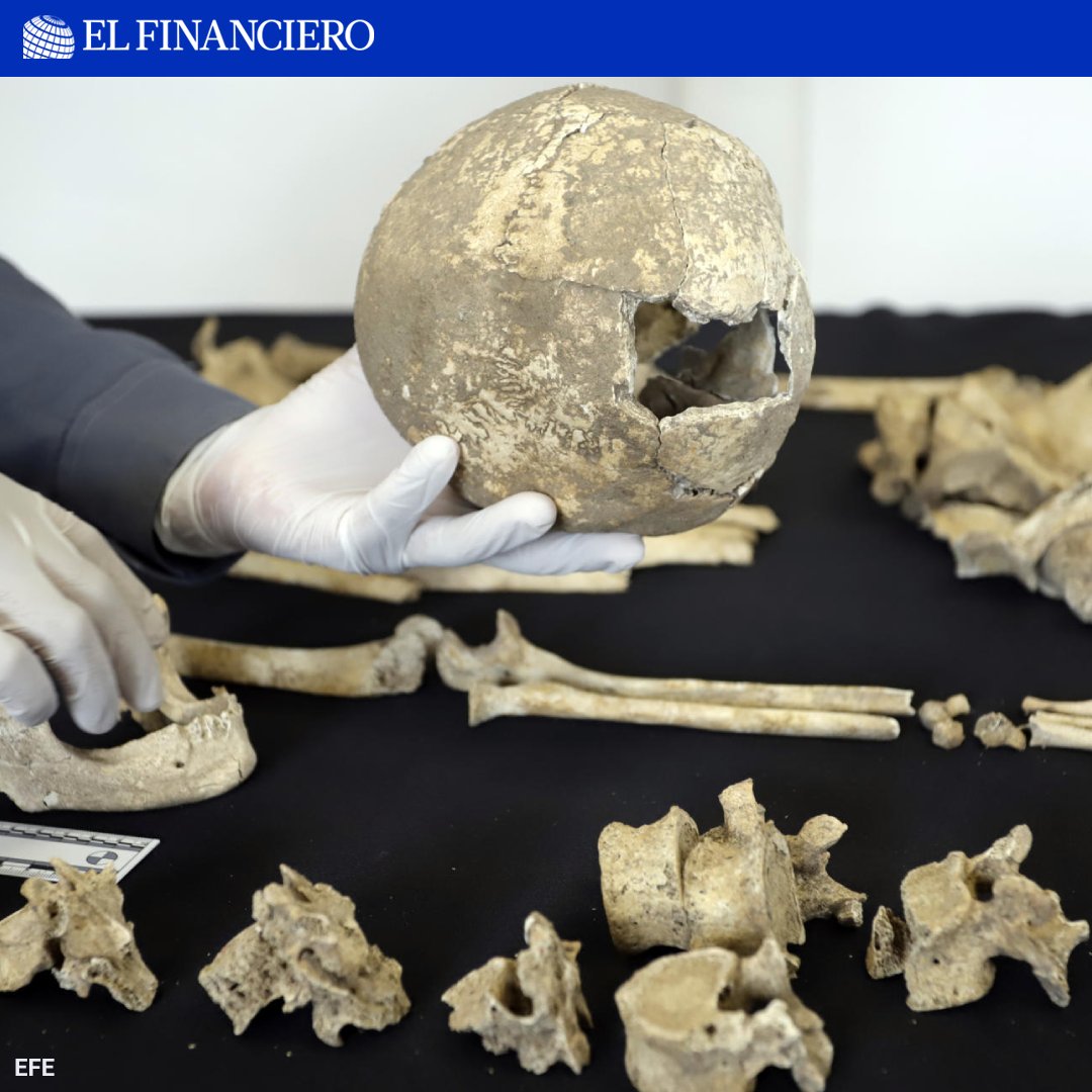 El Financiero Nacional tweet media