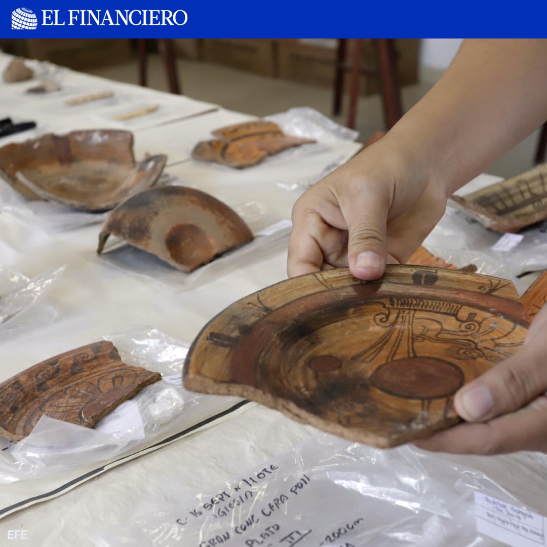 El Financiero Nacional tweet media