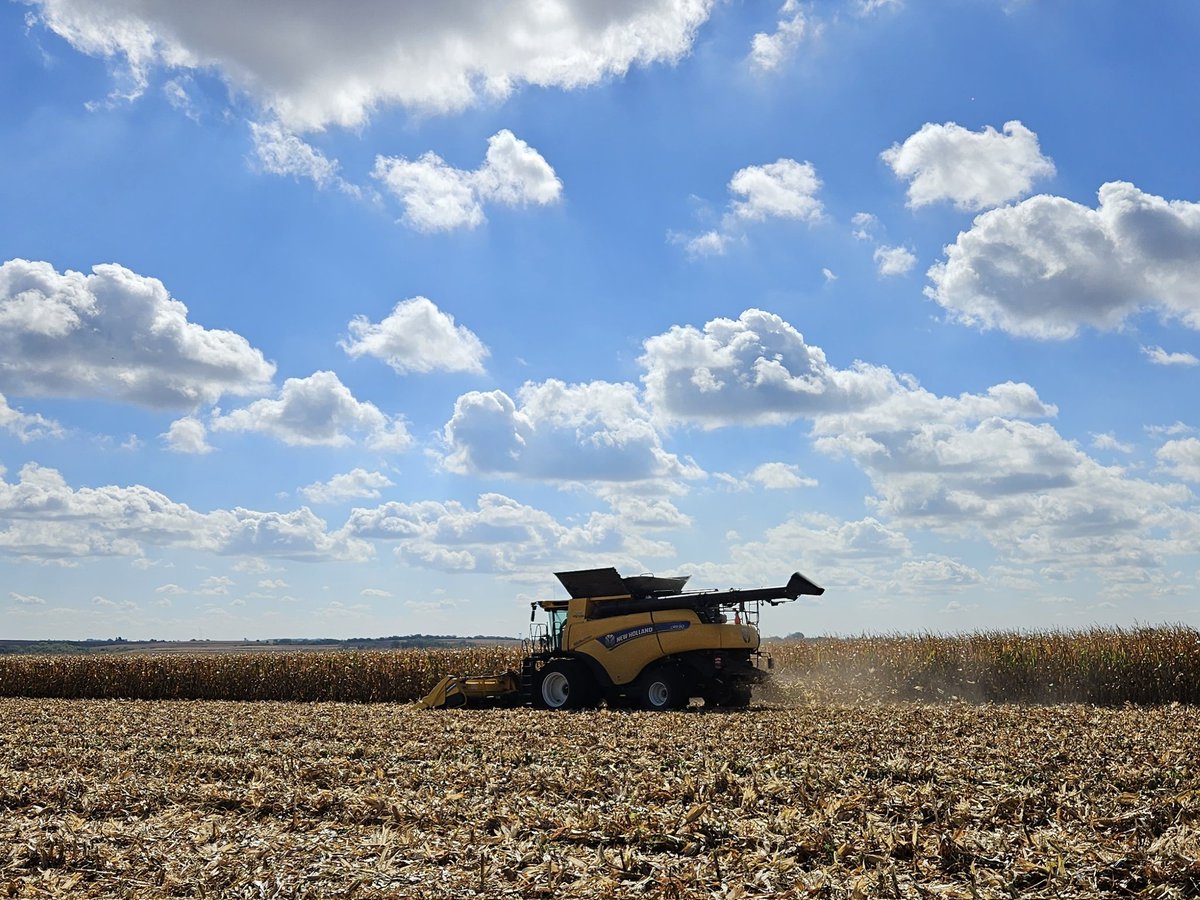CarlsonSeed's tweet image. A beautiful day to harvest a #cornplot -- thank you to Meier Farms!

DKC68-35 won the plot at 296.2 bu/ac 🤩

The closest competitor hybrid was 14.8 bu/ac behind.

#NeverSettle #WinningHasRoots @DKAS_SWIA
@DKAS_Iowa