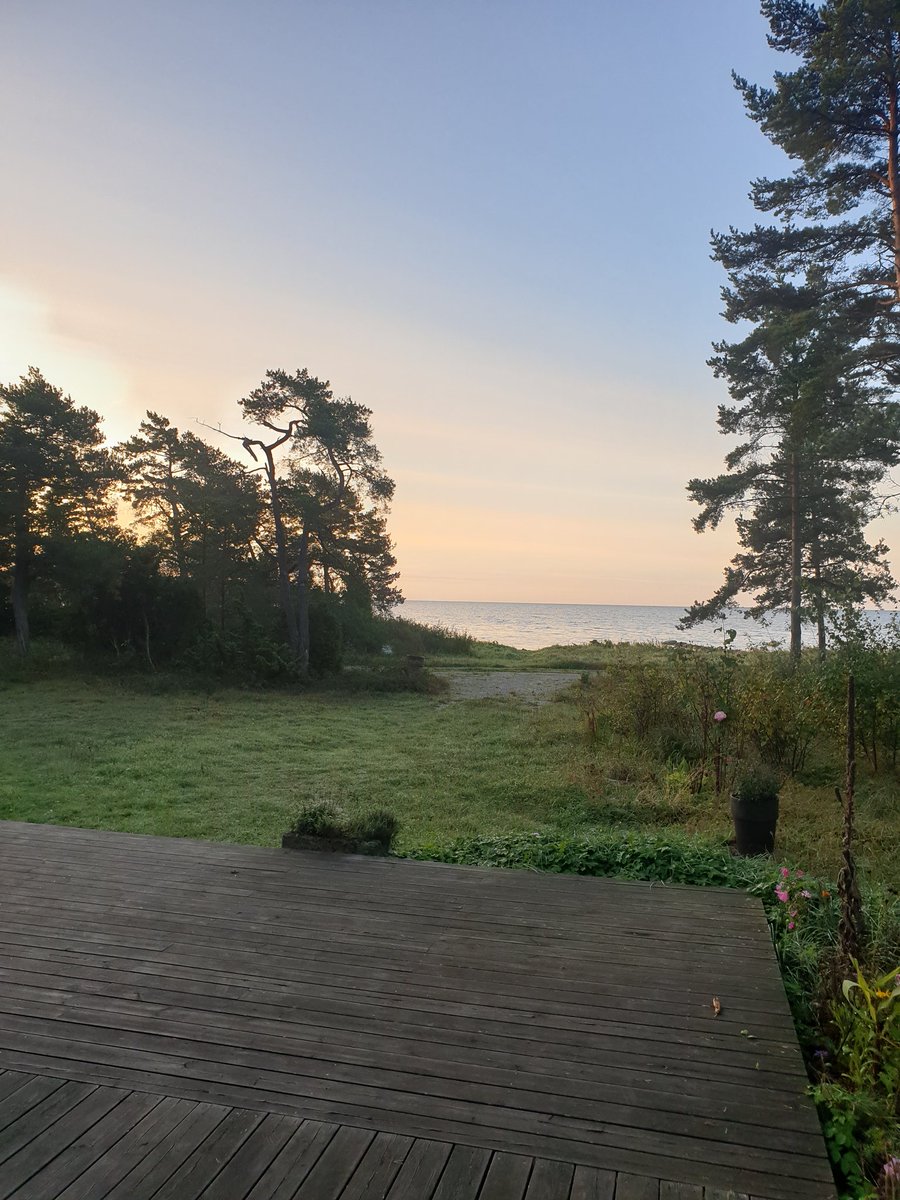 Love Lindqvist tweet media