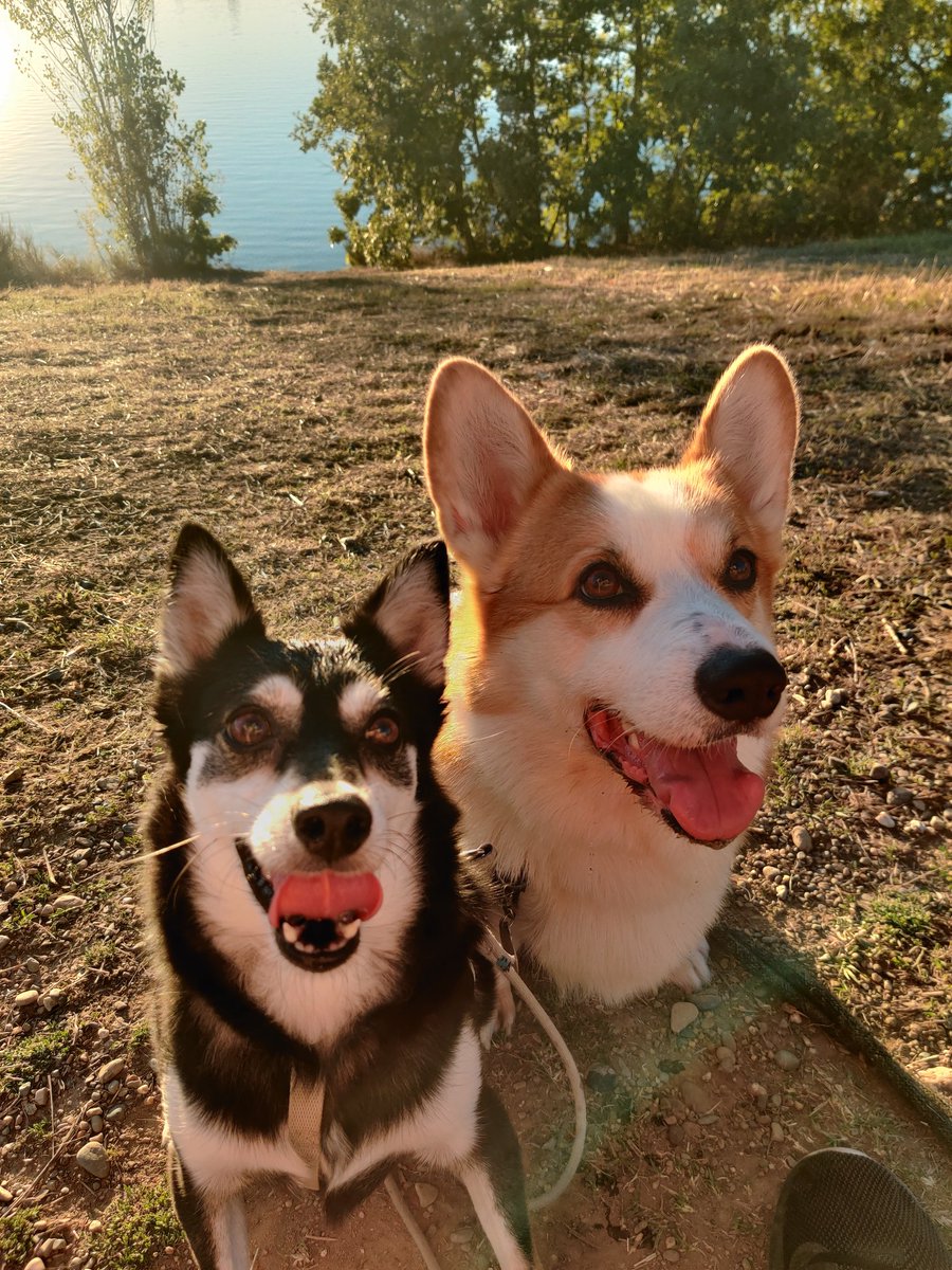 Blue &amp; Neo 💕 https://t.co/47FDnze0Tb