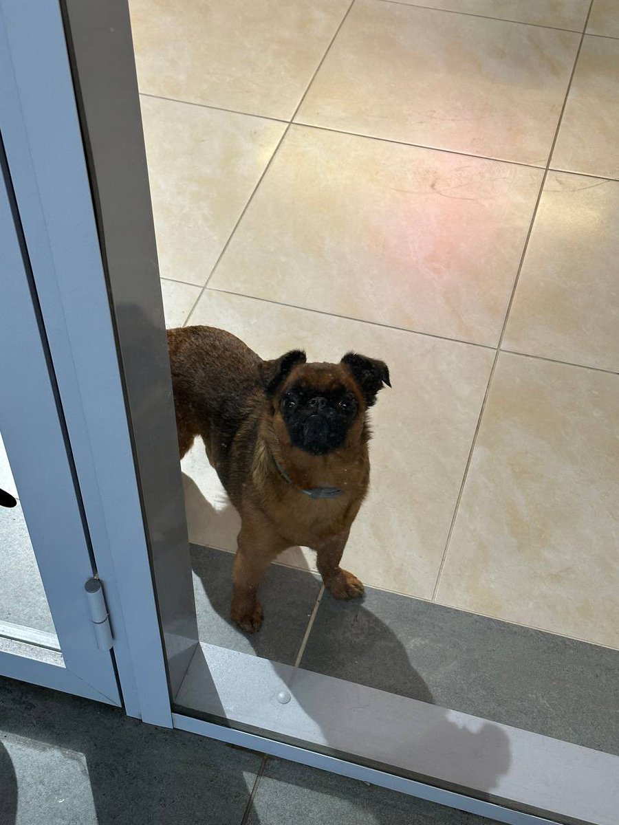 МФЦ Дум tweet media