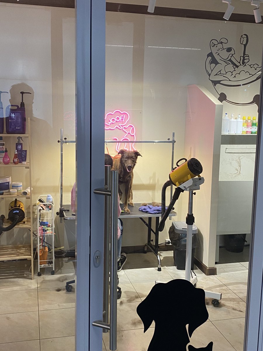 МФЦ Дум tweet media