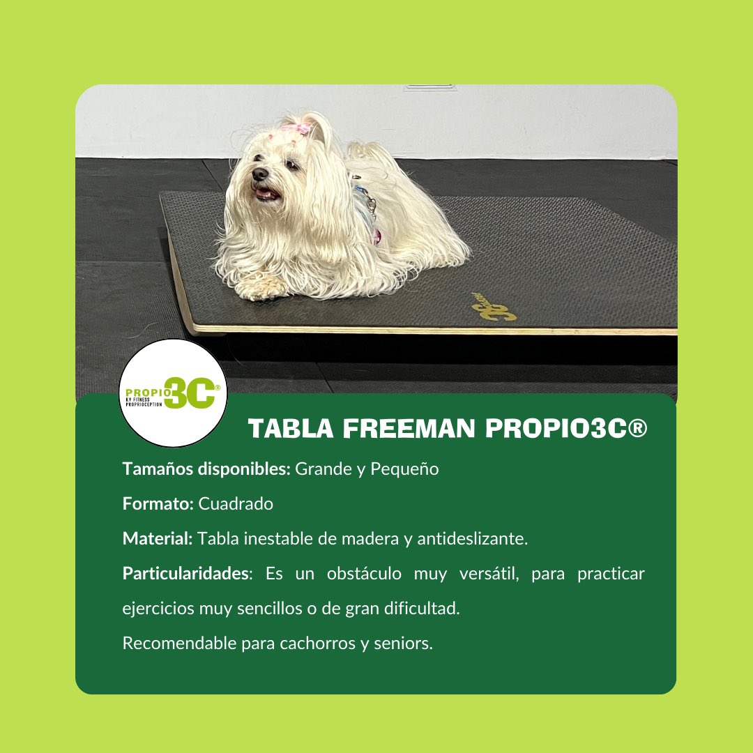 propio3C's tweet photo. 🛑 OBSTÁCULOS PROPIO3C®. TABLA FREEMAN PROPIO3C®

🟣PUEDES SOLICITAR NUESTRO CATÁLOGO A TRAVÉS DE NUESTRAS REDES SOCIALES O A TRAVÉS DEL CORREO : comunicacion@petaneres.com

#propiocepcioncanina #propiocepcionperros #propiocepcion #propio3c #gimnasiocanino #gym #gymfordogs https://t.co/mRLW0BaWmF