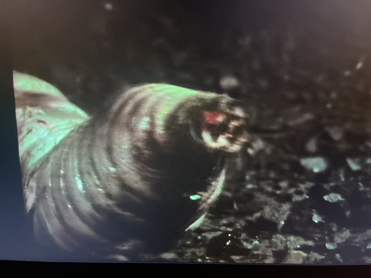 NottmTARDIS's tweet photo. Watching The Green Death episode 3 with commentary from @HadokePodcasts https://t.co/UqN7G7i65S
