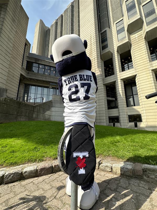 uoftlibraries's tweet photo. Thanks for celebrating #Robarts50 with us and True Blue! 💙🦫📚
Want more Robarts swag? Check out our anniversary site: https://t.co/6vpG27WTW8 #UofT https://t.co/KrCs82sSt9