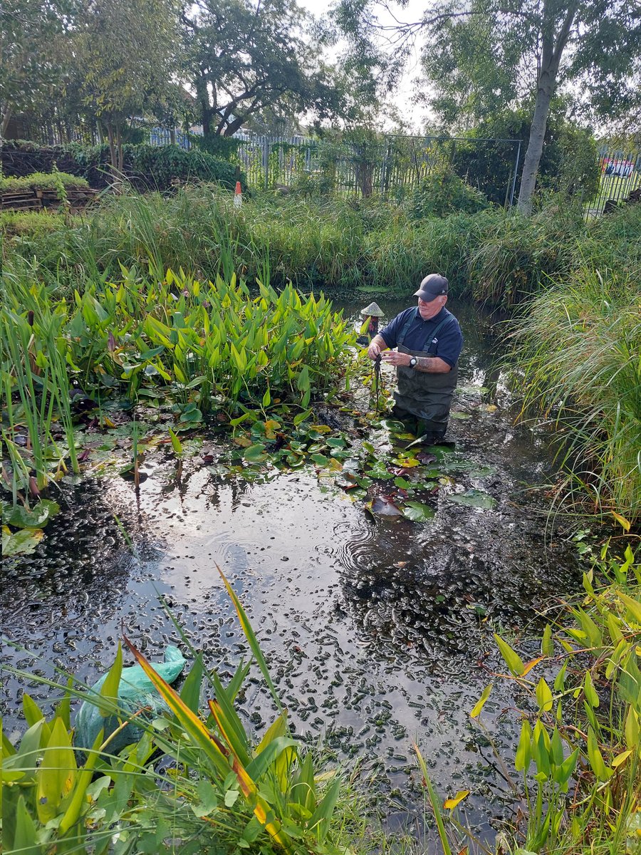 StPetersComm's tweet image. ☀️Great morning pond,  path and bed clearing 🙂