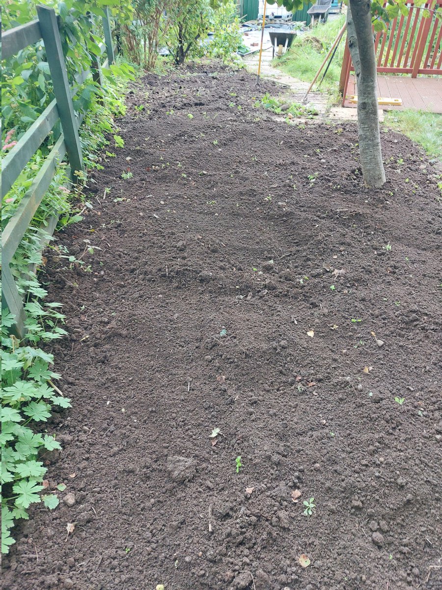 StPetersComm's tweet image. ☀️Great morning pond,  path and bed clearing 🙂