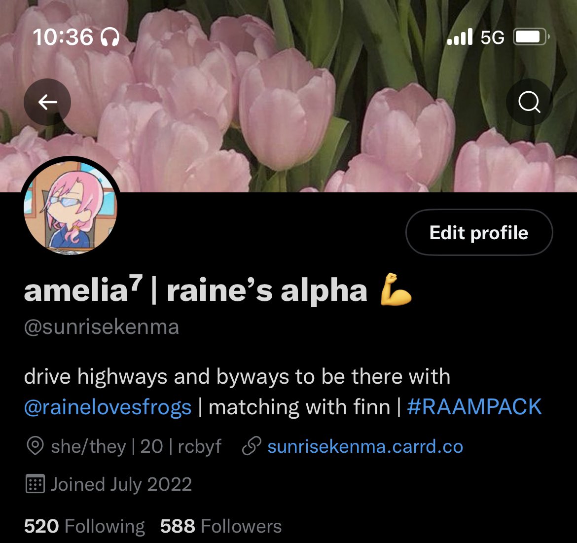 sunrisekenma's tweet photo. the twitter layouts i’ve had on this acc

a thread 🧵 https://t.co/j6uHkREjjS