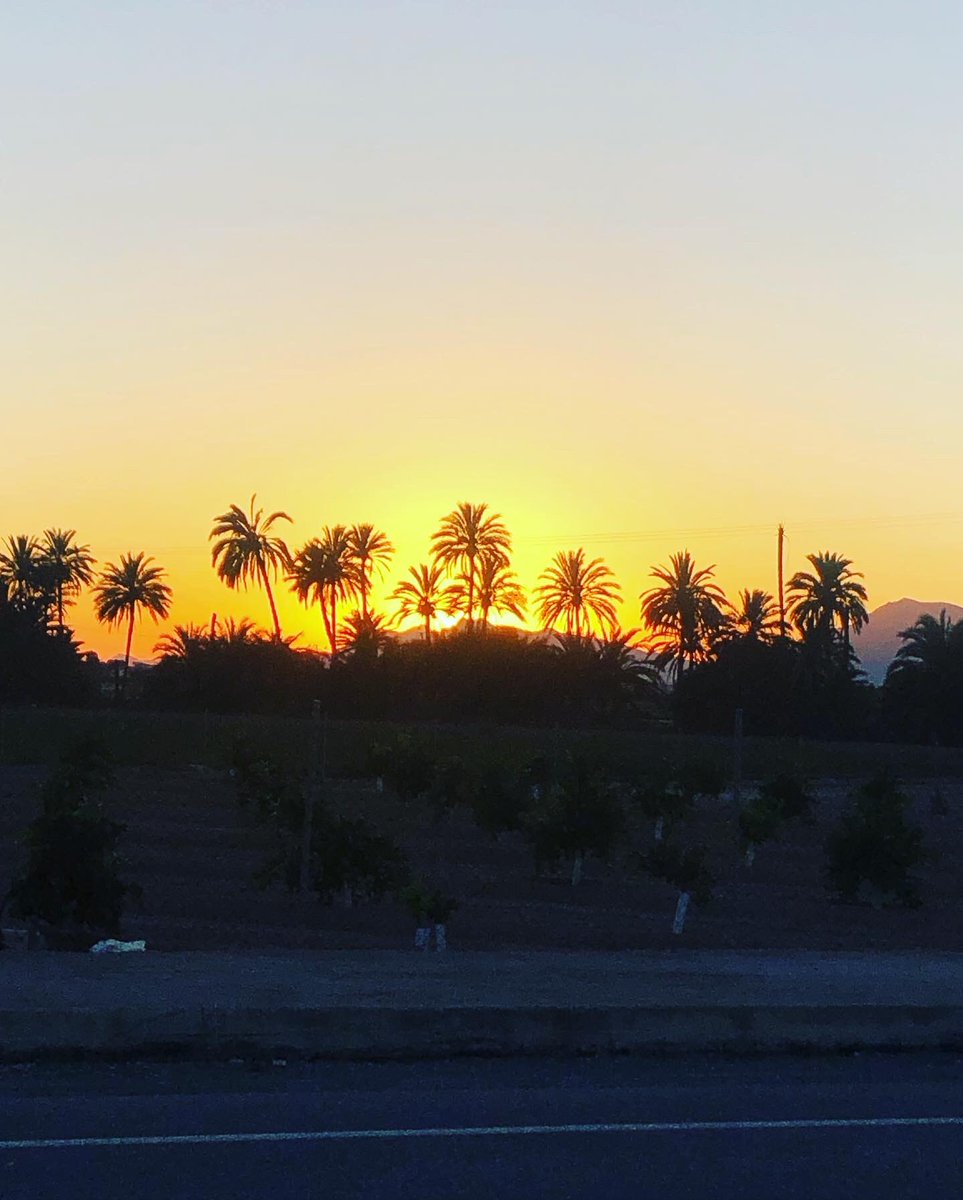 lilypod1803's tweet photo. When you set off to walk to the next village in daylight ☀
But don't factor in you will be walking home, along the canal in the dark 🌙
-
#livinginspain #ourspanishadventure #ourspanglishlife #ourspanishlife #makingmorememories #makingeverysecondcount https://t.co/KknL6s2tkP