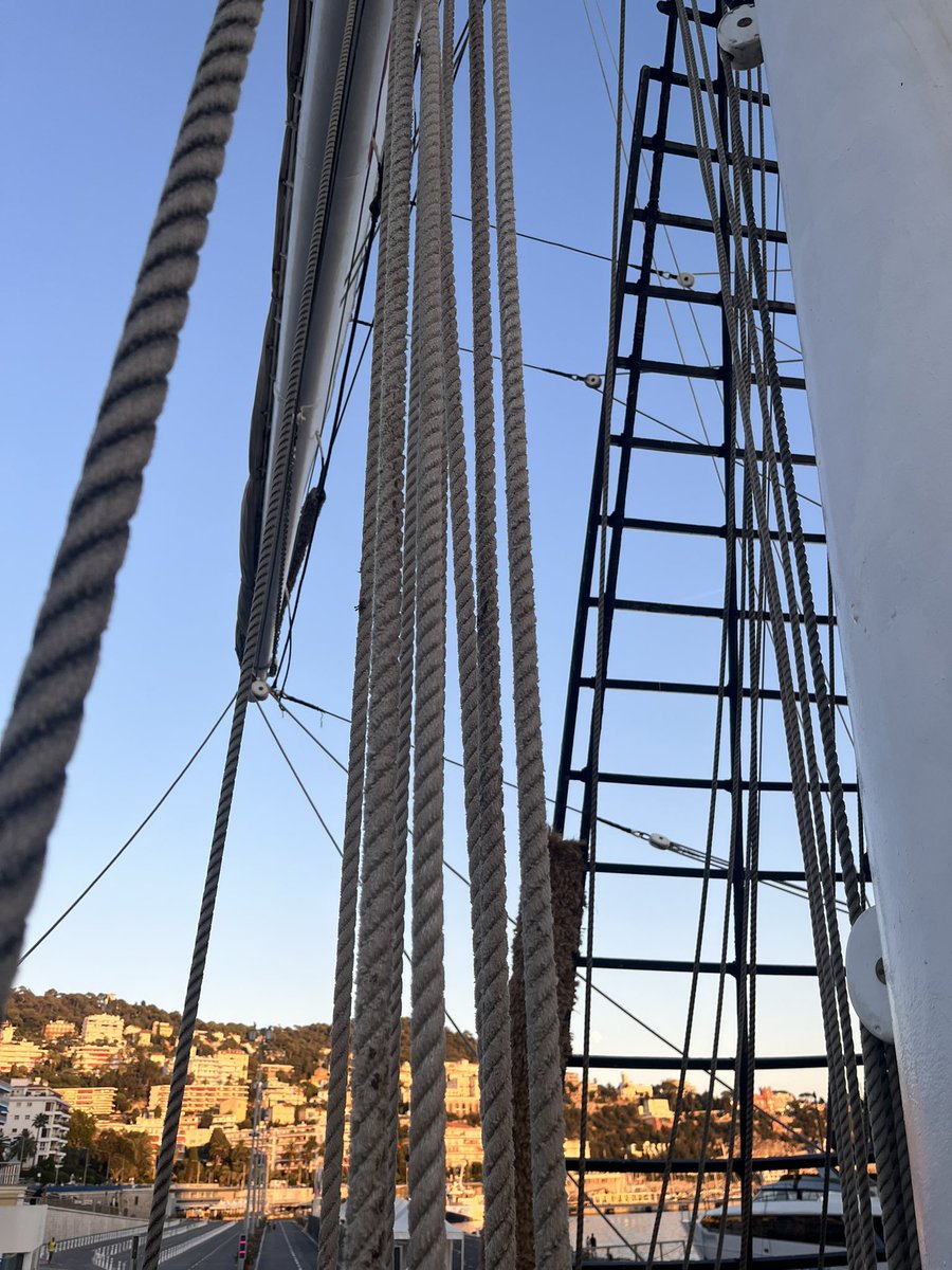 NATORvoën tweet media