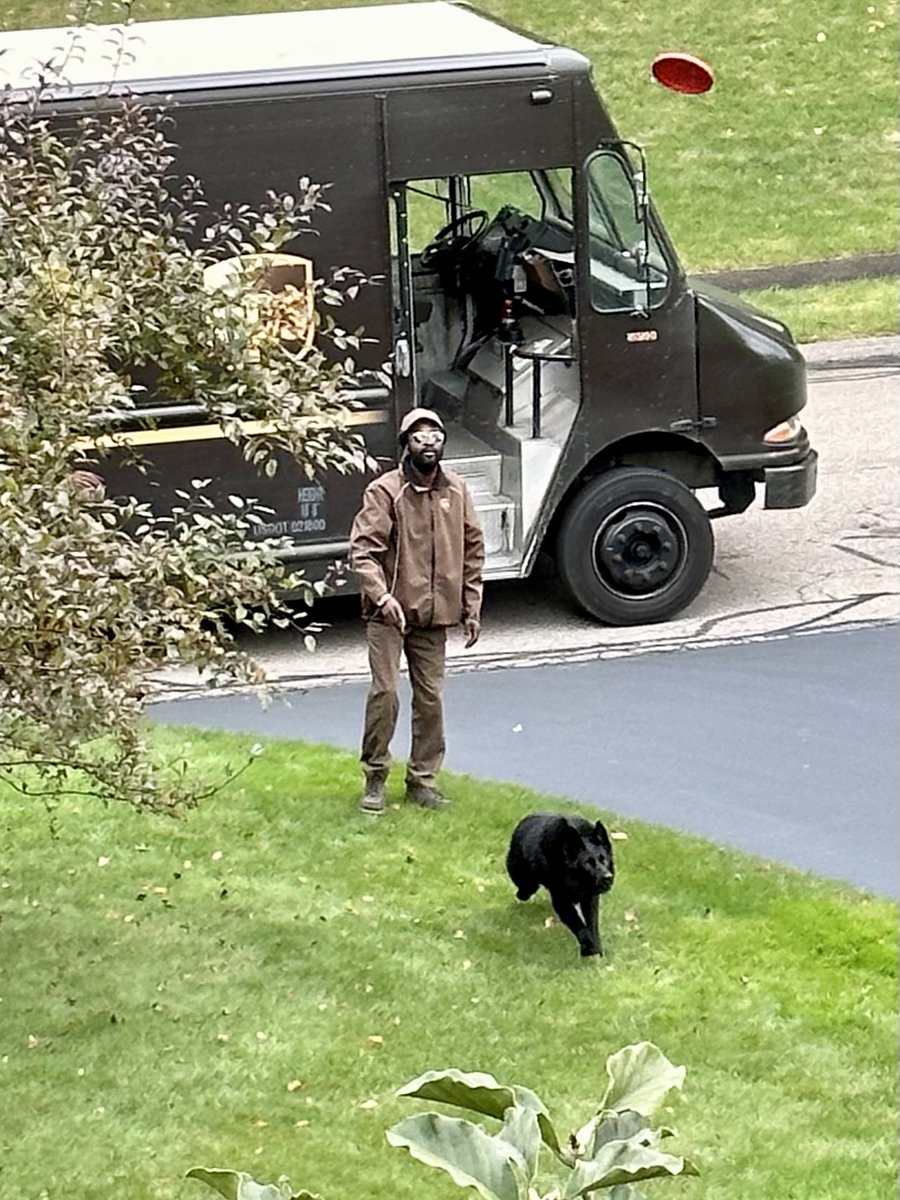 mjleary26's tweet photo. Noel has all the local
delivery drivers trained to play frisbee. The UPS driver is her favorite. #UPSdogs https://t.co/WRmg5f3FbF