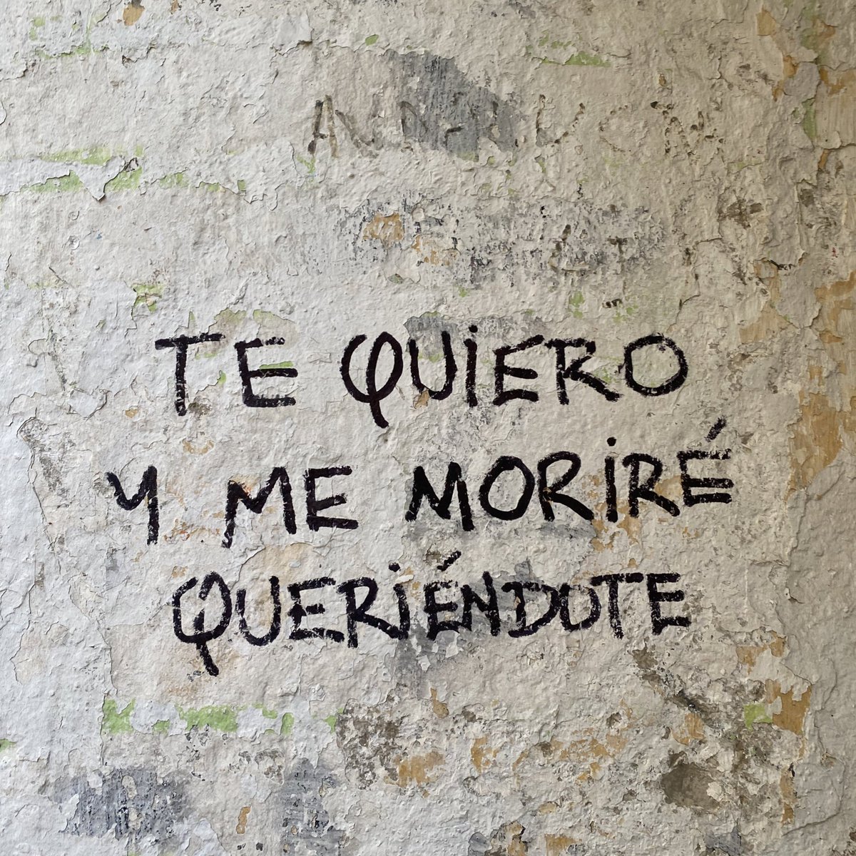 paolazarzuelaa's tweet photo. ❤️‍🩹❤️‍🩹❤️‍🩹 https://t.co/YD14op08BK