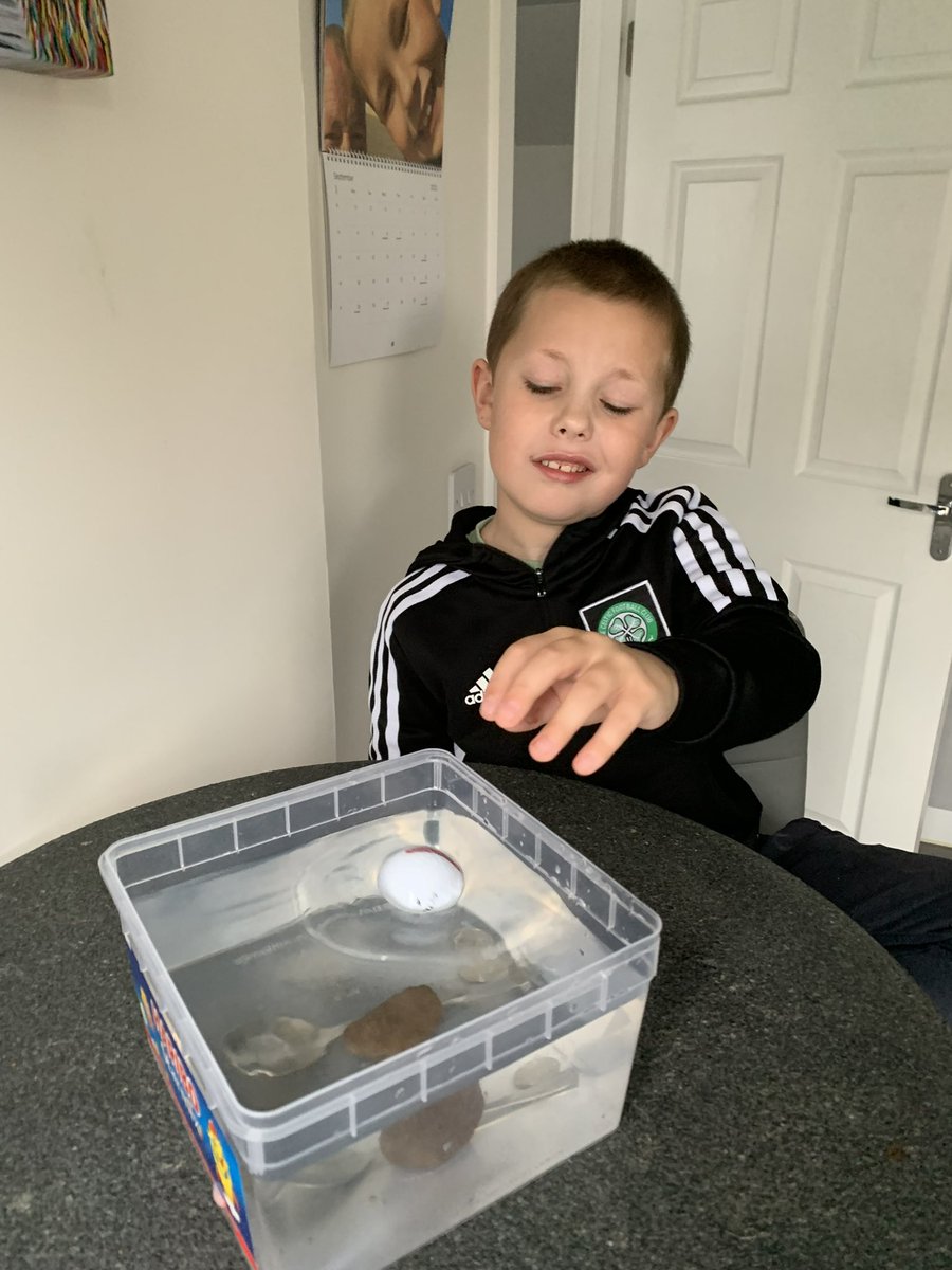c3kdd's tweet photo. Jacks been very busy today doing his home work! @HareleeshillPS @MissCarswell10 https://t.co/pD8hCBryOX