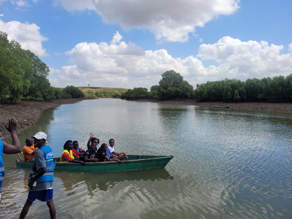 A serene journey on a dhow through Bidii Conservancy, surrounded by vibrant #Mangroves. Beyond their beauty, these mangroves are Earth's natural warriors, fighting climate change. Let's unite to preserve these precious ecosystems. #ImprovedLivelihoods #PoweredByConservation