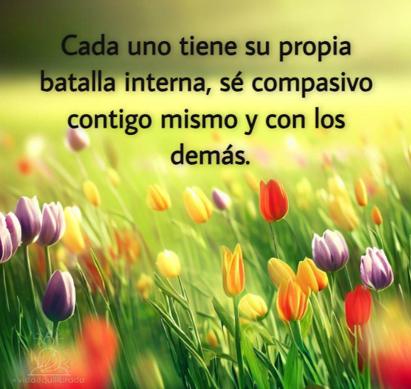 VidaEquilibrada (@vidaequilibrad4) on Twitter photo 