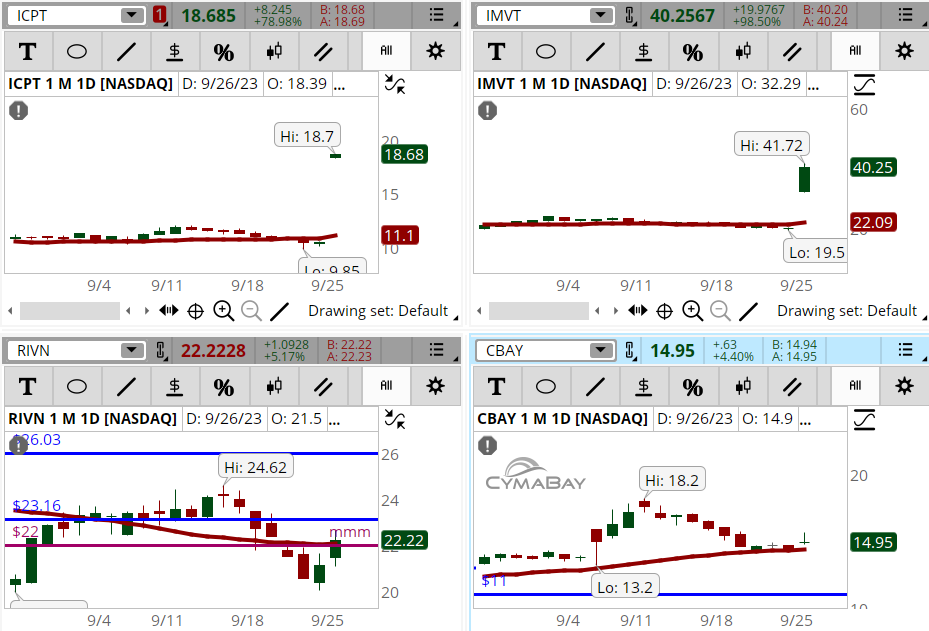 ConnieHillCS's tweet photo. Only a handful of stocks are showing in our Early Morning Movers Bullish scan. Some examples, not recommendations are: #ICPT, #IMVT, #RIVN, #CBAY. Let's see if they continue up tomorrow. https://t.co/0DR6yyadi3