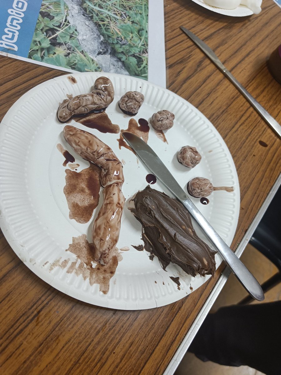 Making Animal poo and learning how to identify it. Granted they look awful 😂 but they enjoyed it! 
<a href="/theboysbrigade/">The Boys' Brigade</a> 
#boysbrigade
