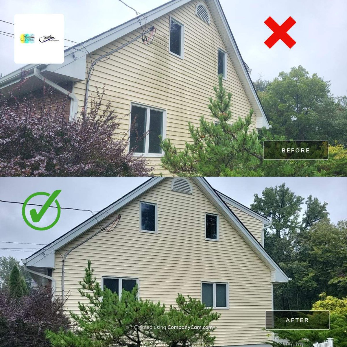 Has your house had a bath yet? 🚿 #spectrumpainting #beforandafter #softwashing #powerwashing