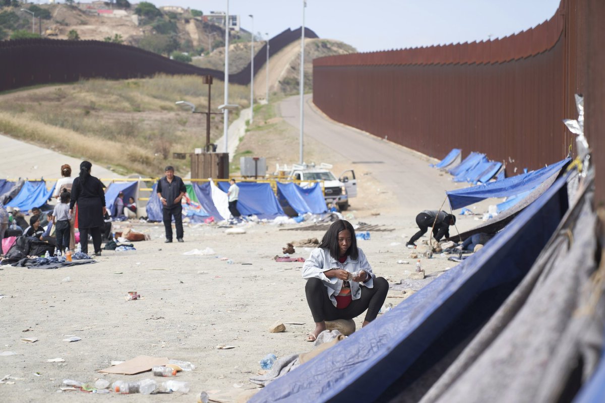 Allison Dinner tweet media