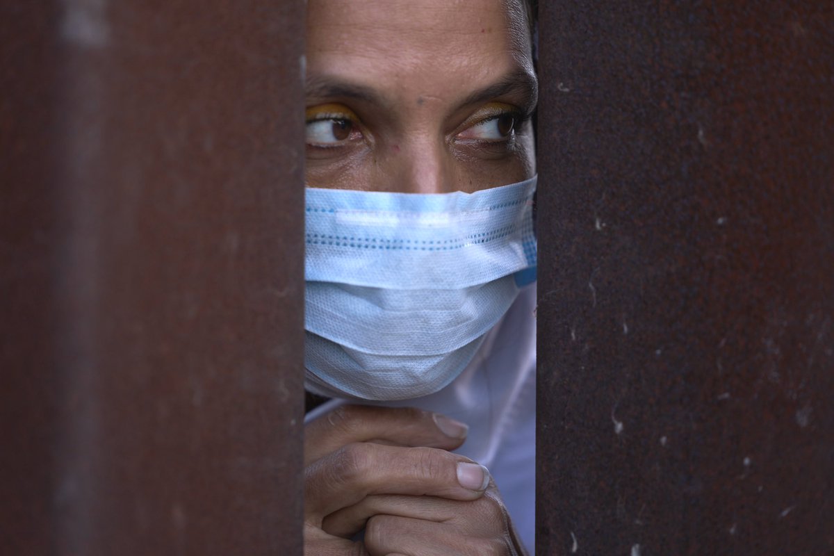 Allison Dinner tweet media