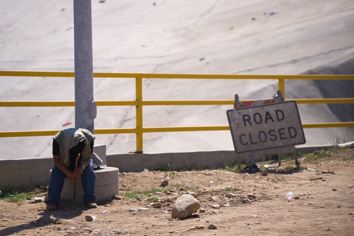 Allison Dinner tweet media