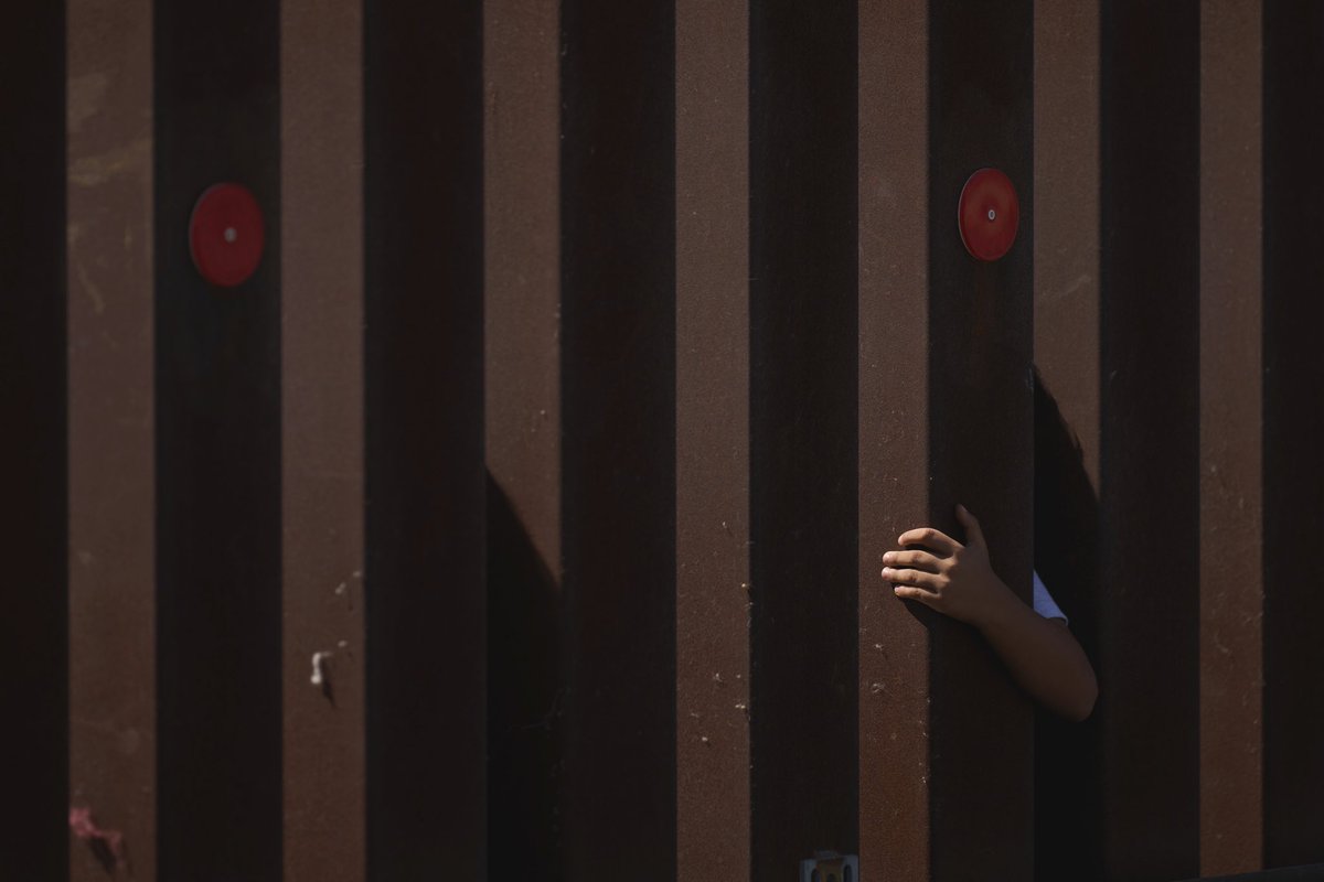 Allison Dinner tweet media