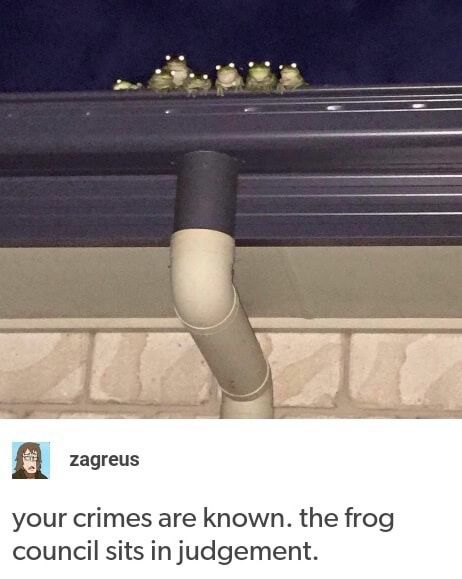 WholesomeMemes (@wholesomememe) on Twitter photo 