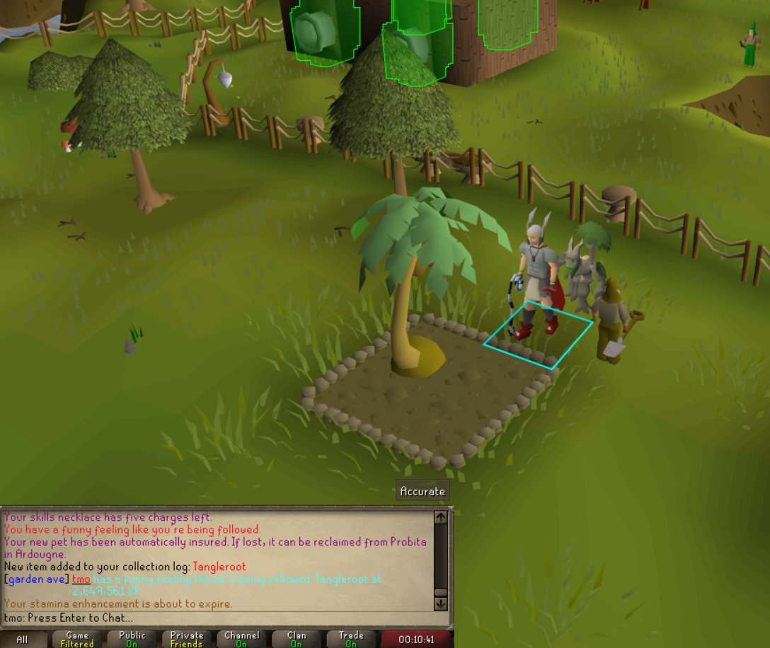 taylor morgan tweet media