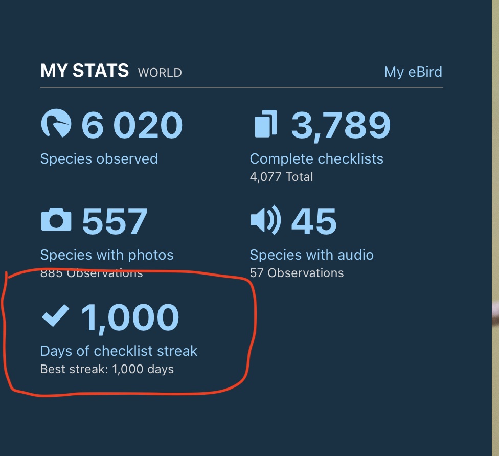 tmboucher's tweet photo. Took a while, but I got there... https://t.co/a5qIj6ELnO