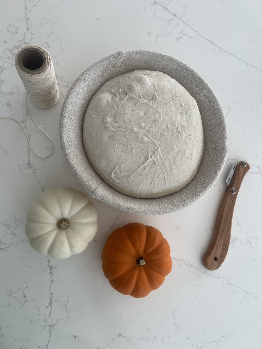 TugbaSalman's tweet photo. Project Pumpkin 🧡🌾 #sourdoughbread #baking https://t.co/tqjhvKtlEx