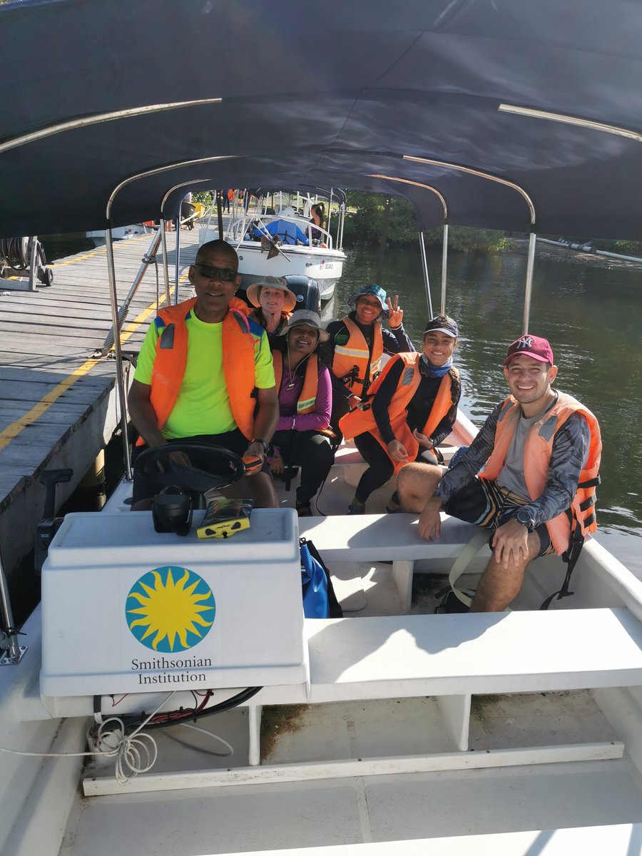 BocasStation's tweet photo. We have started the second week Opisthobranch course🌊 Yesterday, the course team went to a field trip to get more samples! Join us to discover the specimens found during this week! 🔬 https://t.co/kTmwL4Ogaa