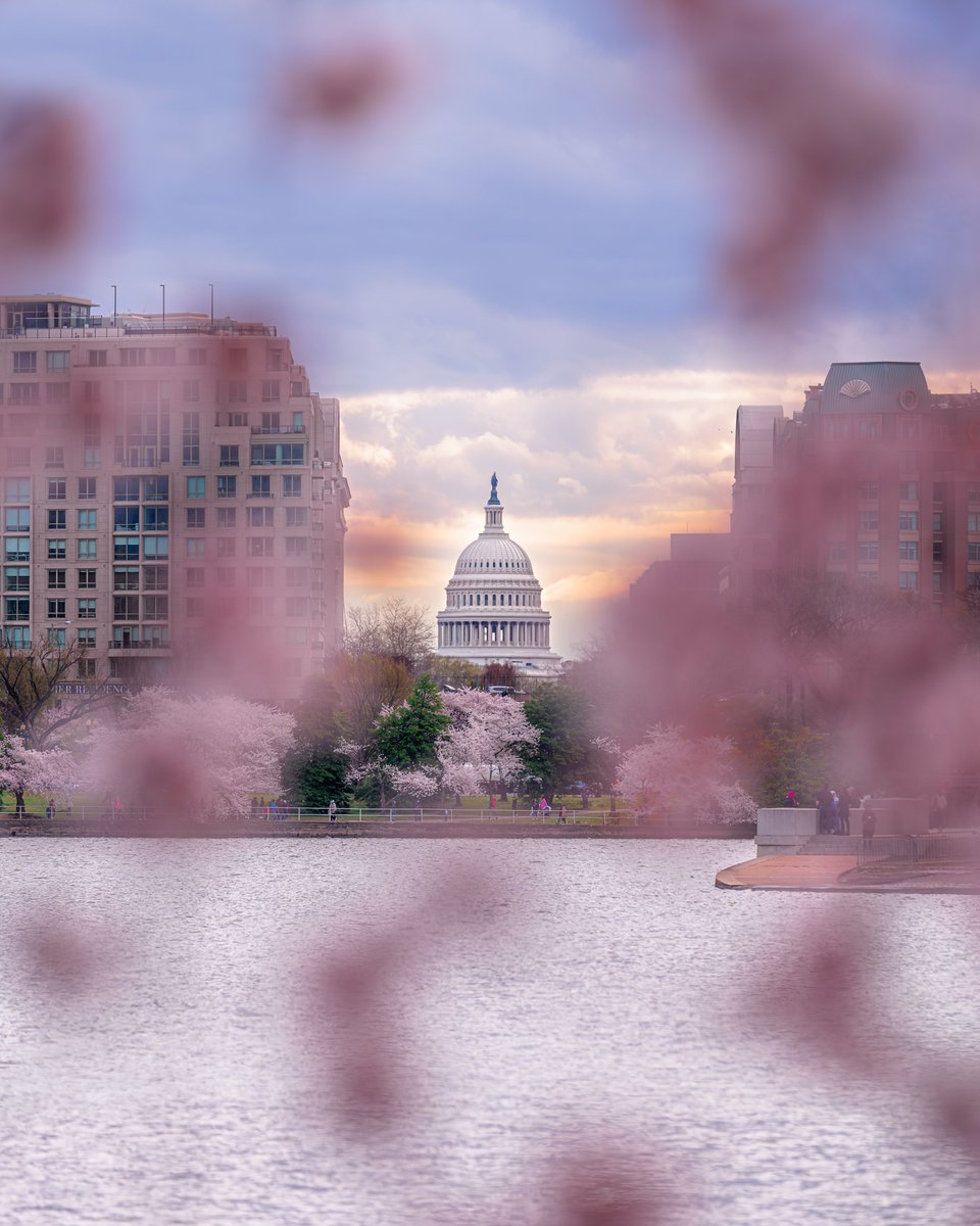 AirFig | Massachusetts tweet media