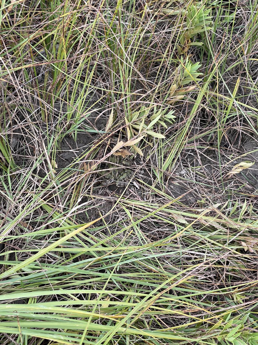 Jackie Bushman tweet media