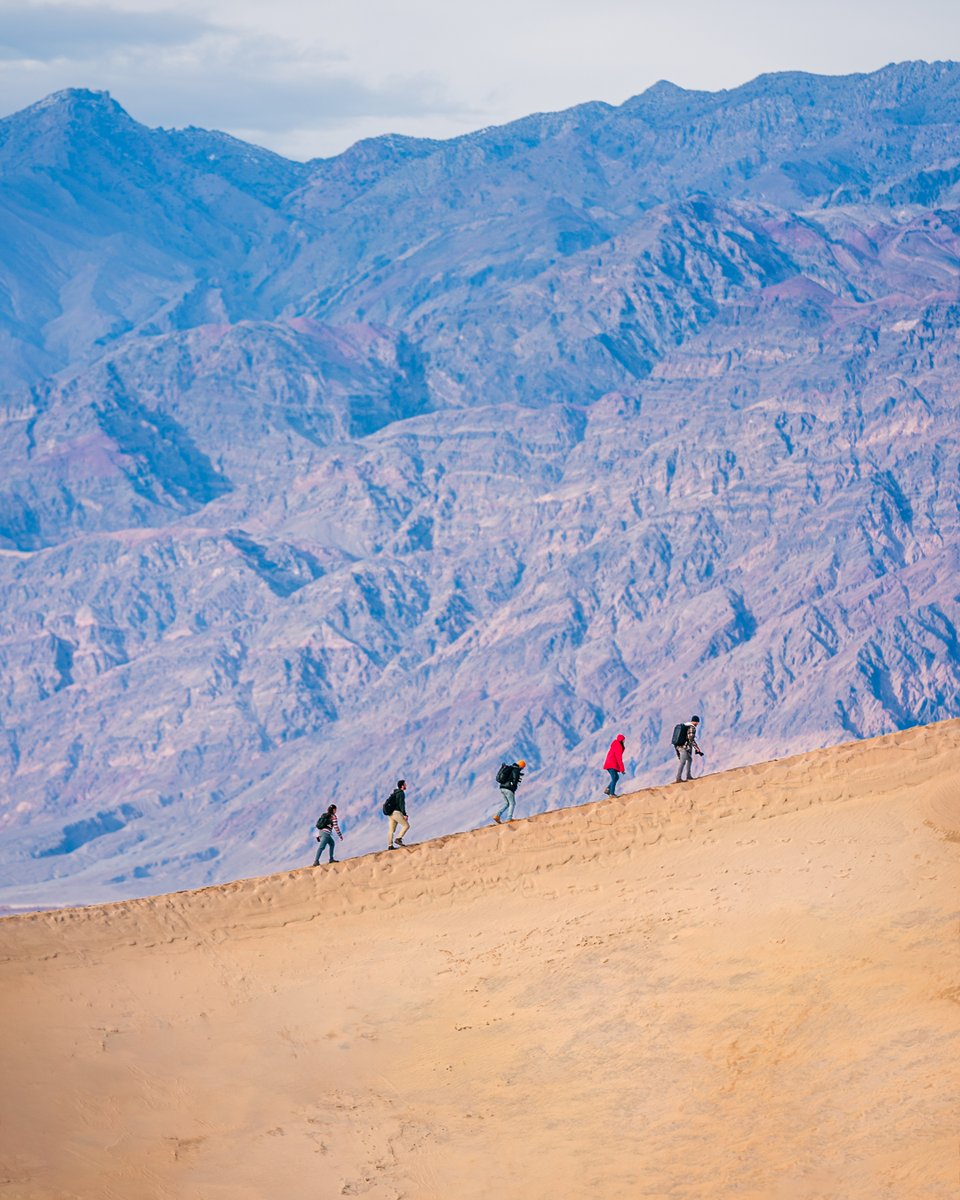 AirFig | Massachusetts tweet media