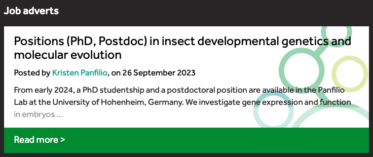 Kristen Panfilio tweet media