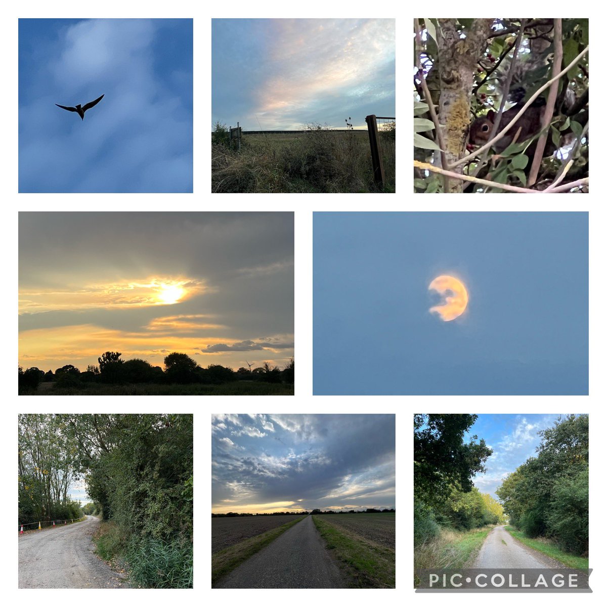 Sunset-Moonrise… <a href="/ChicadeeB/">DeeDee 🌼</a> <a href="/hdtgal/">Hdtgal</a> <a href="/AppezzatoPenny/">Penny Appezzato🎶💕</a> <a href="/heartie_jan/">Jan Miller</a> <a href="/yov_harrison09/">Yvonne Harrison</a> @Pamela_J <a href="/KelleBleschke/">Kelle Bieschke 🦋</a> @ChrisJanesGreen <a href="/bklyn2baypoet/">Notorious BEV</a> @TalkstoselfinME <a href="/feebs1907/">Fiby Henein</a> <a href="/chocolatefan88/">chocolatefan88</a> <a href="/charmedbyhiba/">⋆CharmedbyHiba ⋆❤︎⋆ SRK ⋆❤︎⋆ Cowboy Carter⋆</a> <a href="/chadwicktimms/">K ChadwickTimms 🇨🇦</a> <a href="/MitchelleLinde1/">Mitchelle Lindenmoyer</a> <a href="/Alisondegroot_5/">Alison de Groot</a> <a href="/DLBeccue/">dlb</a> and everyone 🙋‍♀️🎶