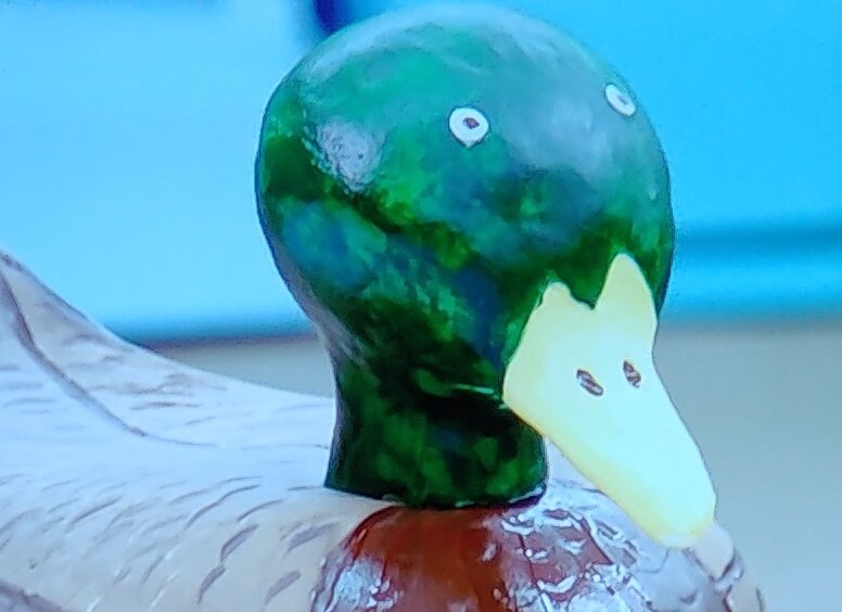 SardaranCarol's tweet photo. What's this duck seen?!

#GBBO
#BakeOff https://t.co/Ua9B1KuX4f