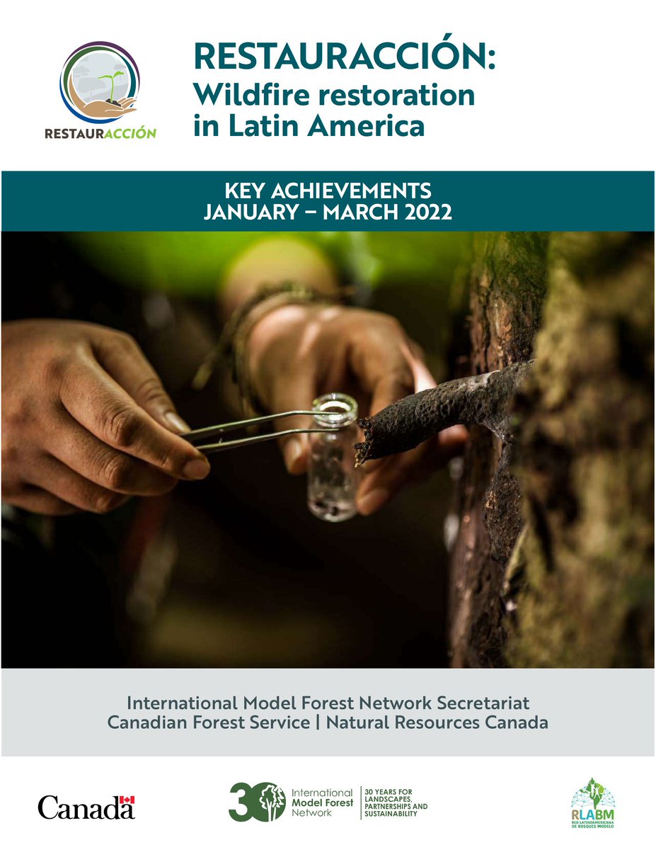 🌱 Hot off the Presses! @modelforest 's RESTAURacción 2021-2022 Key Achievements Report release in EN/FR/SP 👉 bit.ly/3PHHE71 #IamModelForest #GenerationRestoration @FAOForestry @GPFLRtweets @CIFOR @CATIEOficial @NRCan @IUCN @IUCN_forests