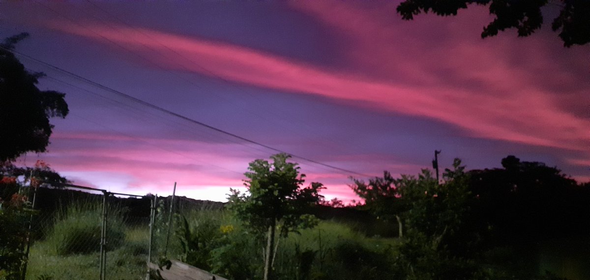 Not a perfect picture but how beautiful is this morning sky.

#homestead #naturelovers