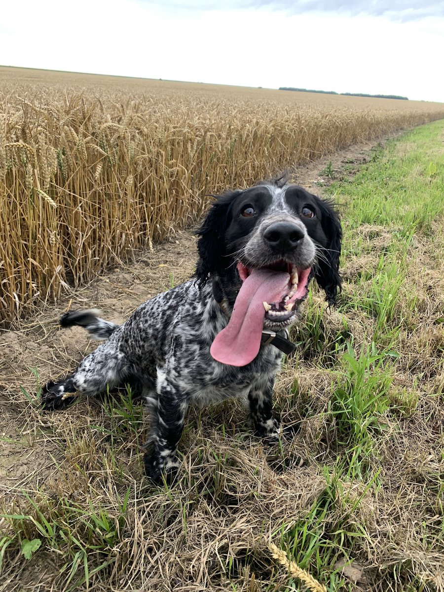 Rachael ✨ tweet media