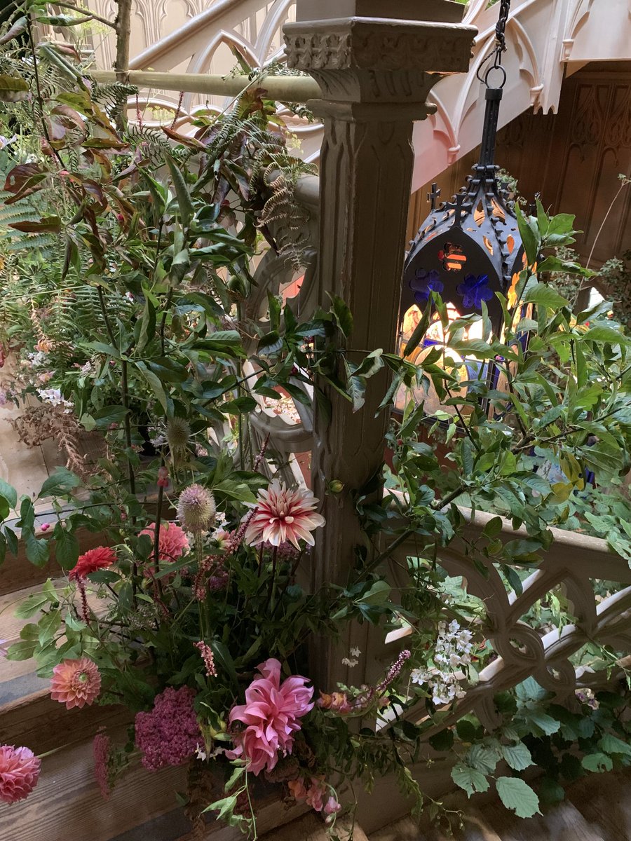 Elisabeth Lenckos tweet media