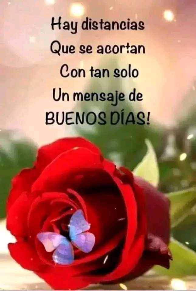 Luz_MedinaB's tweet photo. https://t.co/u0yEndd7ps