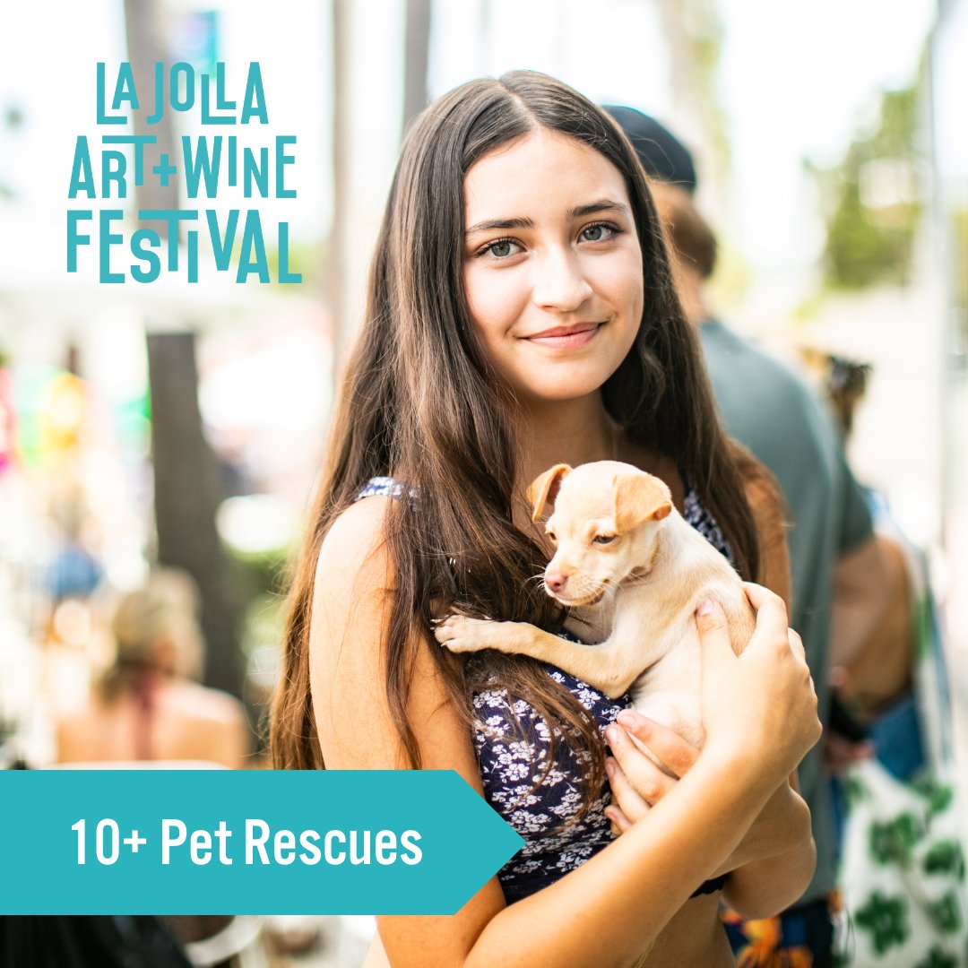 LJ Art & Wine Fest tweet media