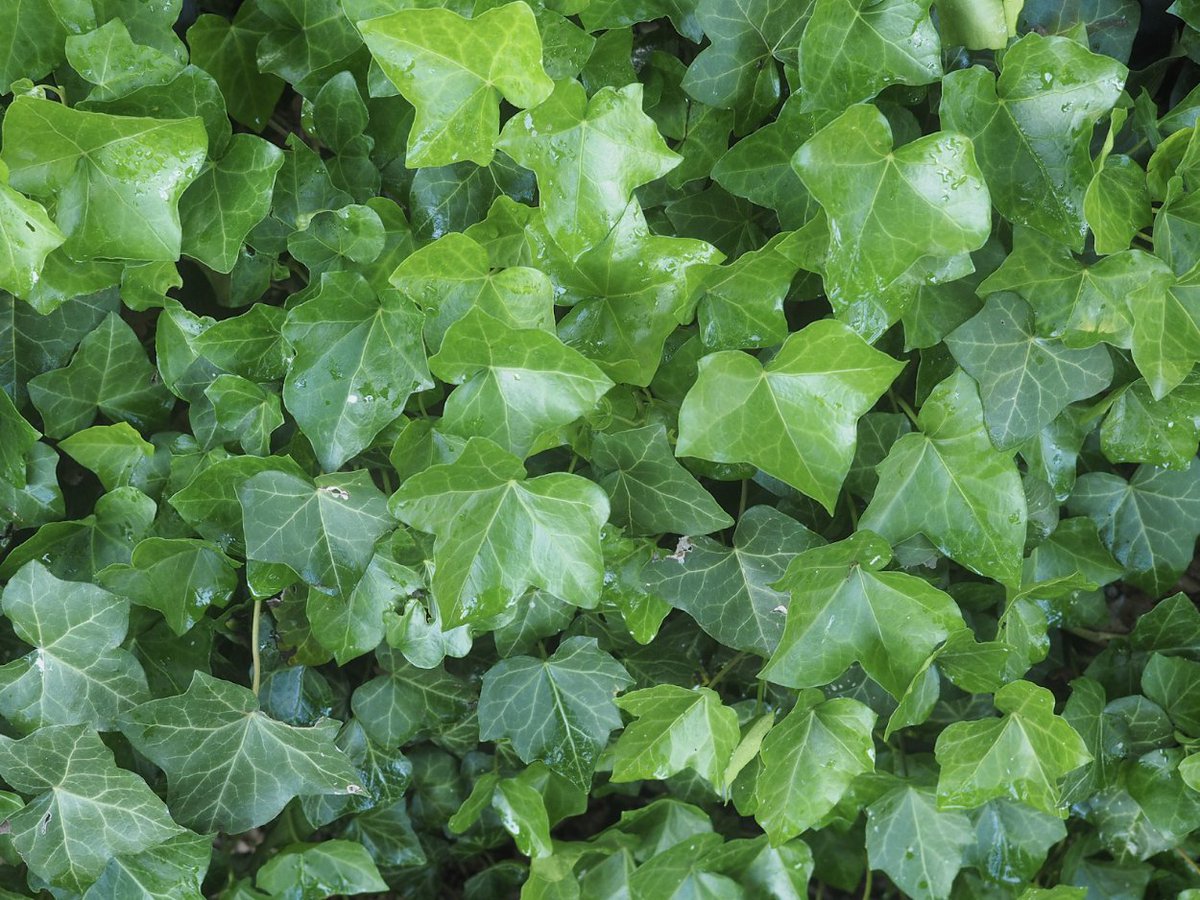 Analytical & Circular Chemistry tweet media