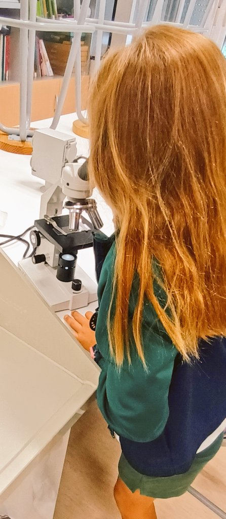 TeacherLolaHBS🎶🇬🇧 tweet media