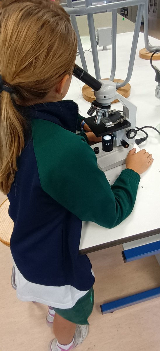 TeacherLolaHBS🎶🇬🇧 tweet media