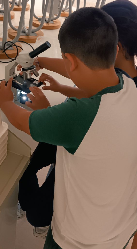 TeacherLolaHBS🎶🇬🇧 tweet media