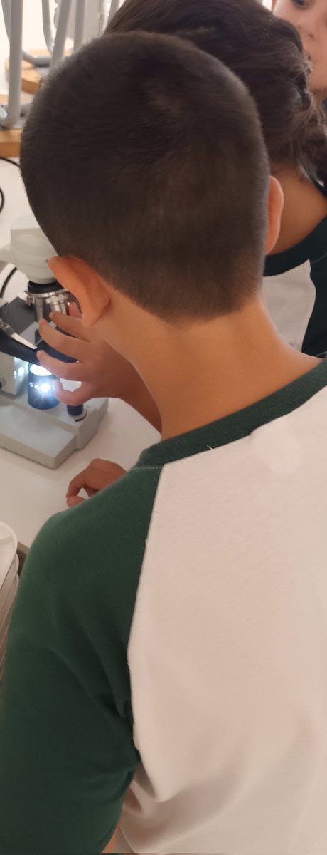 TeacherLolaHBS🎶🇬🇧 tweet media