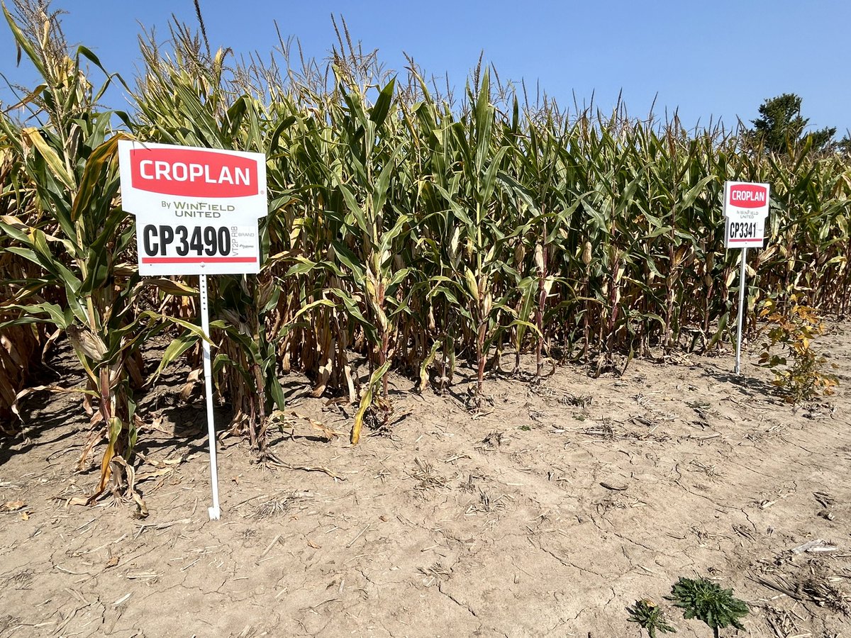 Chadd Taylor tweet media